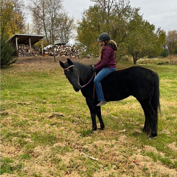 Meet your Posher, Morgan - Picture 16 of 16